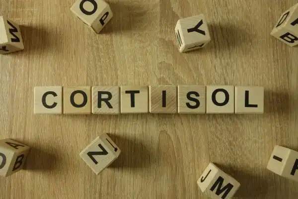 The Hidden Connection: How Stress Shapes Your Fitness and Body Composition 2 Image saying "Cortisol" and how stress Crawley impacts your wellbeing and bodies shape